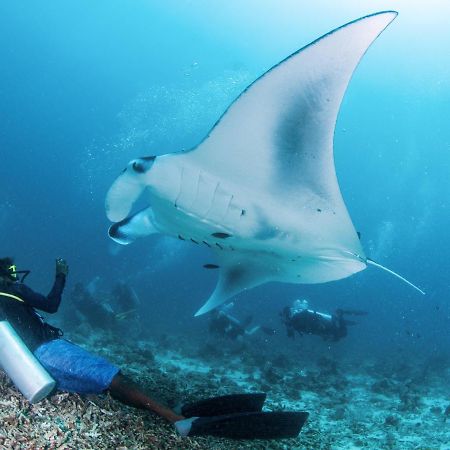 South Ari Dive Center Otel Dhangethi Dış mekan fotoğraf