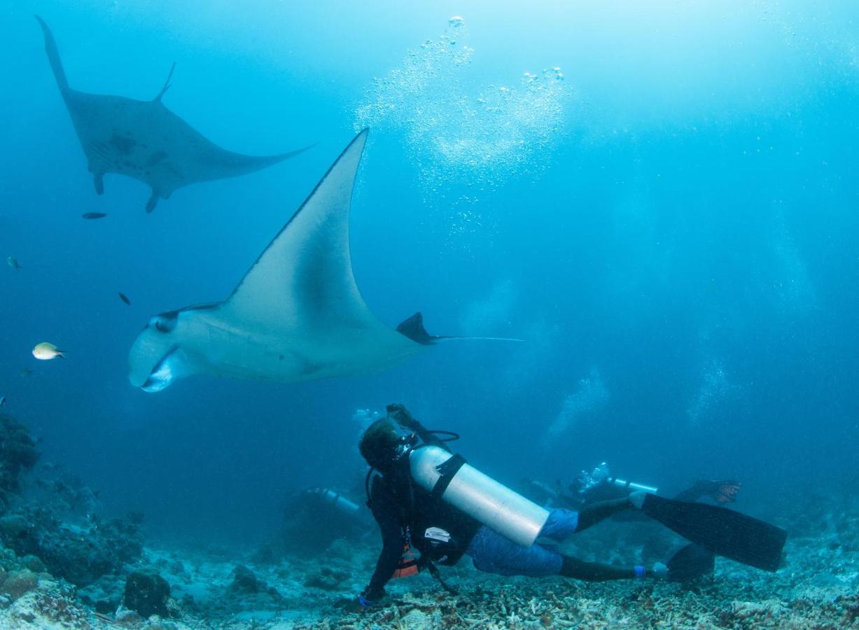 South Ari Dive Center Otel Dhangethi Dış mekan fotoğraf