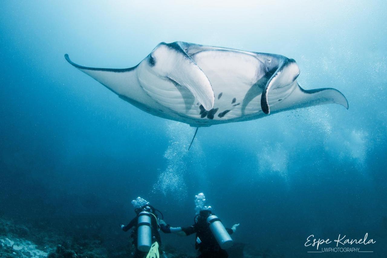 South Ari Dive Center Otel Dhangethi Dış mekan fotoğraf