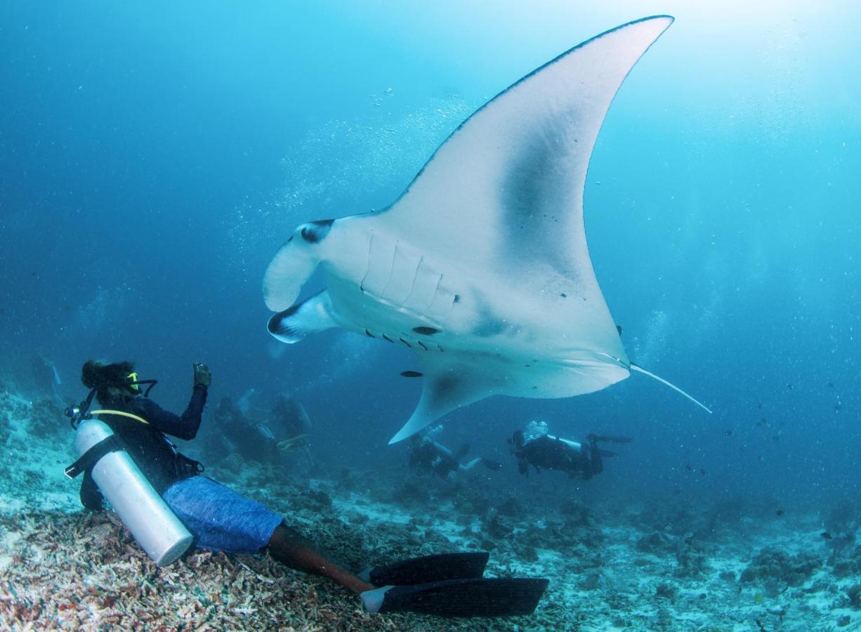 South Ari Dive Center Otel Dhangethi Dış mekan fotoğraf