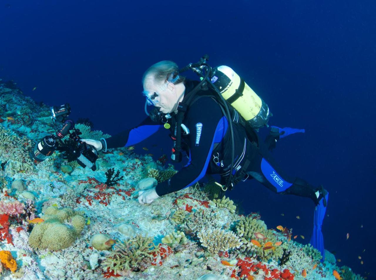 South Ari Dive Center Otel Dhangethi Dış mekan fotoğraf