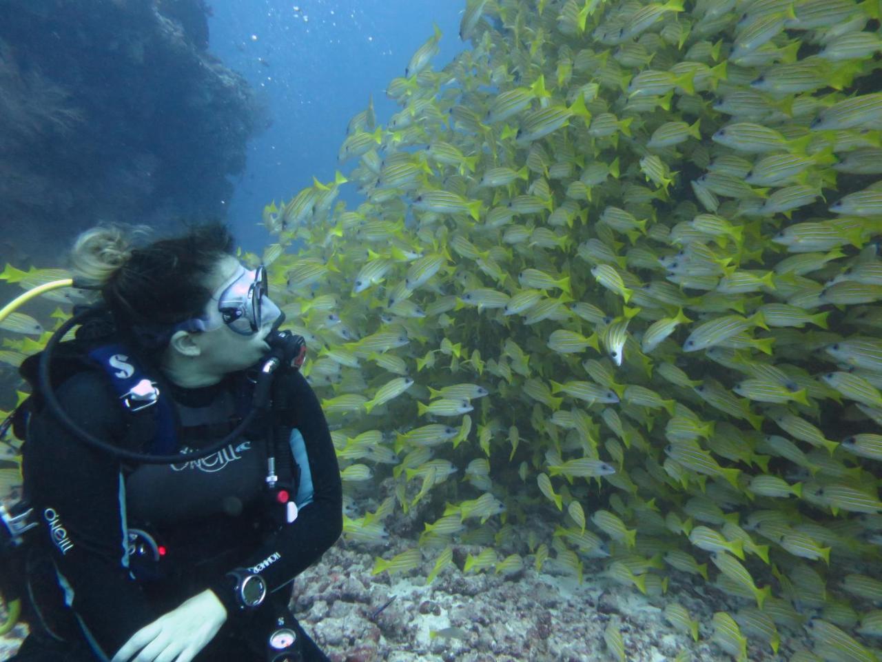 South Ari Dive Center Otel Dhangethi Dış mekan fotoğraf