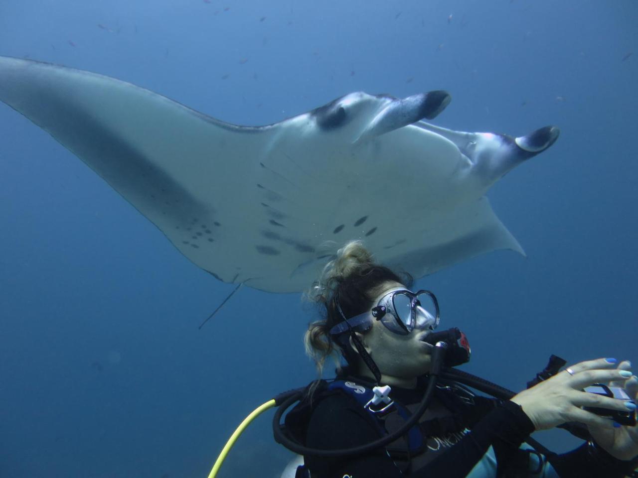 South Ari Dive Center Otel Dhangethi Dış mekan fotoğraf