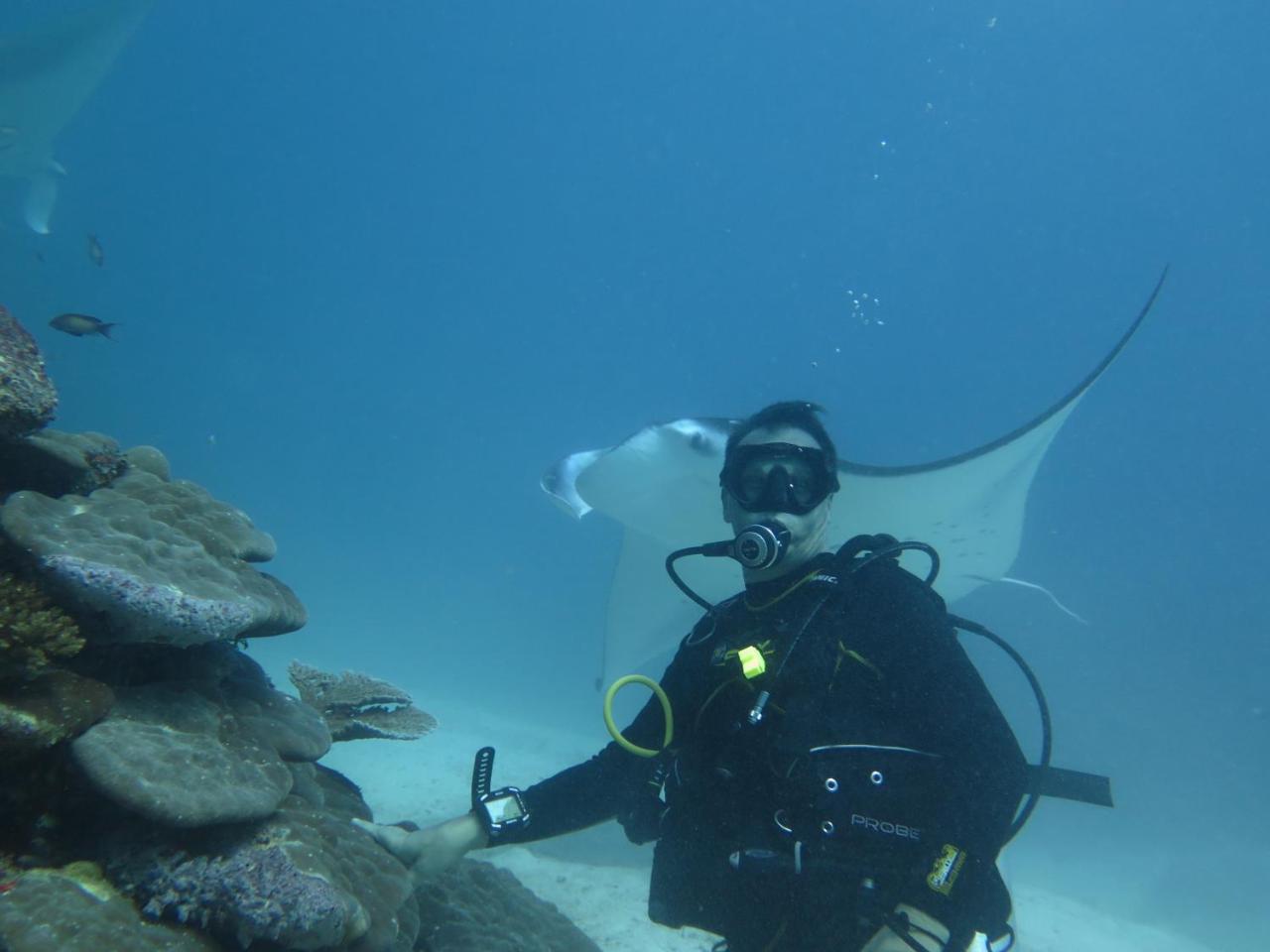 South Ari Dive Center Otel Dhangethi Dış mekan fotoğraf