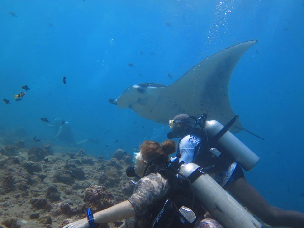 South Ari Dive Center Otel Dhangethi Dış mekan fotoğraf