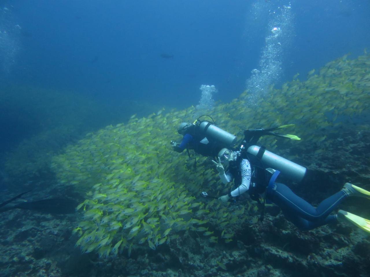 South Ari Dive Center Otel Dhangethi Dış mekan fotoğraf