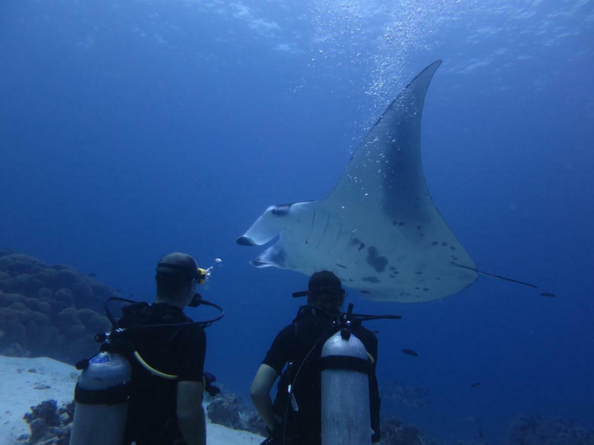 South Ari Dive Center Otel Dhangethi Dış mekan fotoğraf