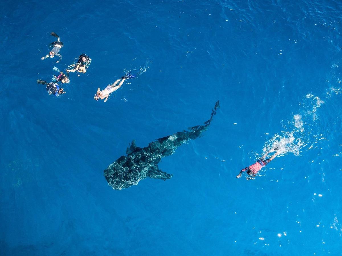 South Ari Dive Center Otel Dhangethi Dış mekan fotoğraf