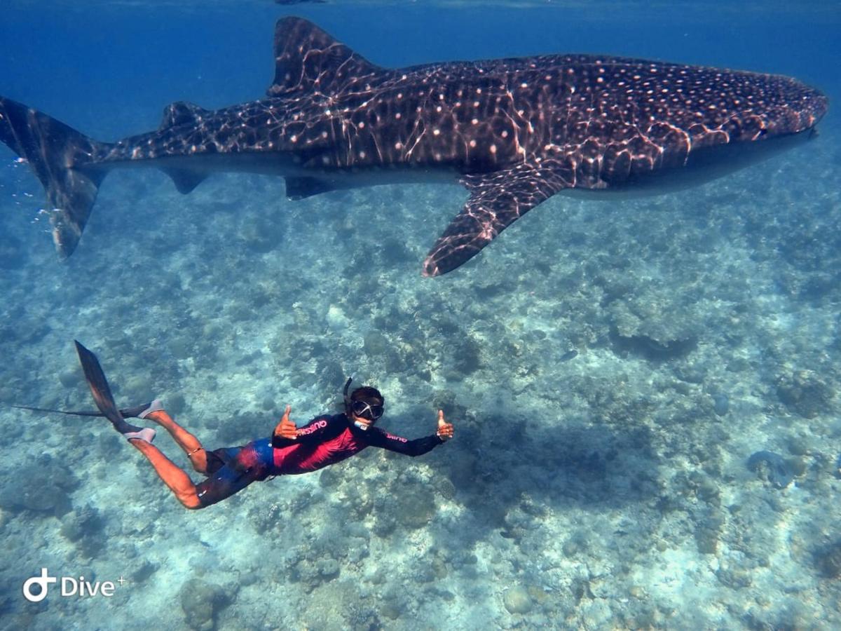 South Ari Dive Center Otel Dhangethi Dış mekan fotoğraf